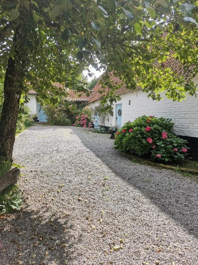 Le Clos De La Rose Gite Bien Etre Wirwignes Dış mekan fotoğraf
