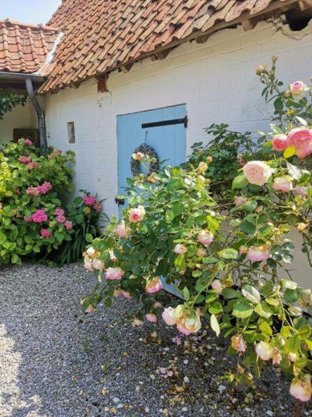 Le Clos De La Rose Gite Bien Etre Wirwignes Dış mekan fotoğraf