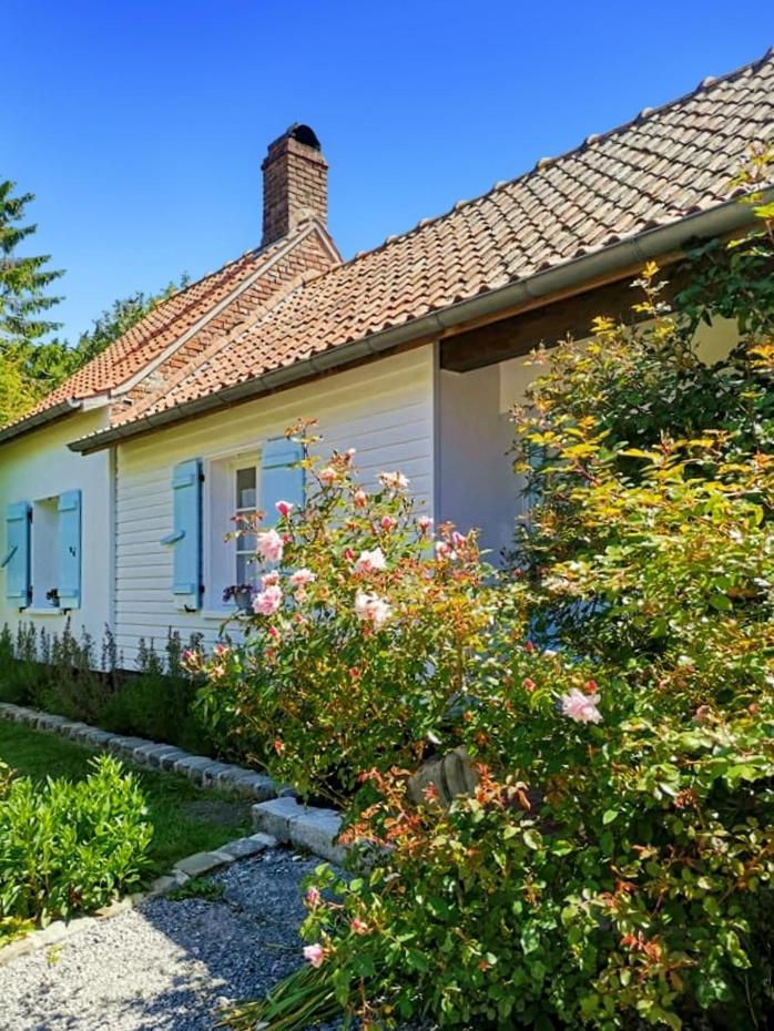 Le Clos De La Rose Gite Bien Etre Wirwignes Dış mekan fotoğraf